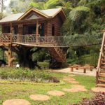 Rumah Pohon Taman Safari