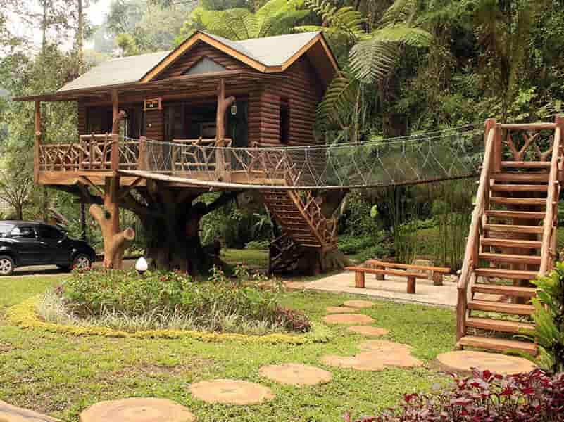 Rumah Pohon Taman Safari Lodge, Akomodasi Unik di Puncak Bogor