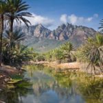 valley-island-socotra-min