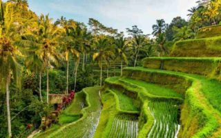 4 Tempat Wisata Paling Aman di Dunia dari Virus Corona tempat wisata paling aman di dunia