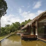 terrario di tangkahan