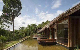 terrario di tangkahan