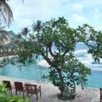 queen-of-the-south-infinity-pool-1024×577-min-1