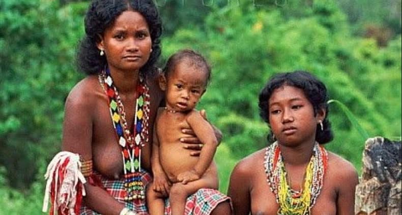 Batak mendiami suku propinsi yang suku asli adalah 10 Suku