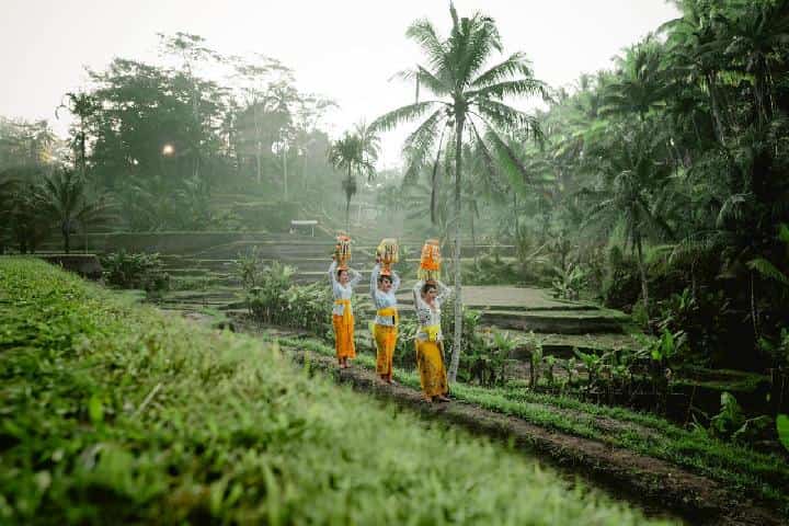 Wisata ke Bali New Normal, Berikut Syarat yang Harus Dipenuhi