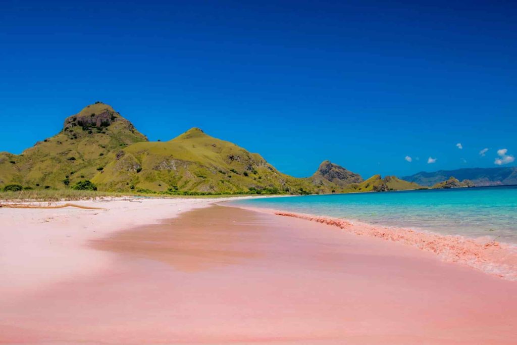 pantai pink di pulau komodo