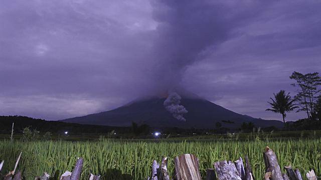 gunung semeru erupsi
