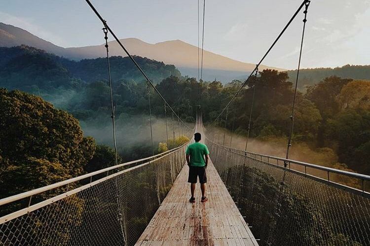 situ gunung suspension bridge
