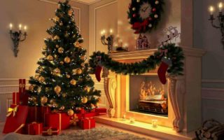 kenapa natal identik dengan pohon cemara