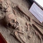 lambanapu sumba timur