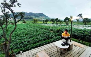 Aman Griyo Farmhouse, Hotel Terbaik di Dieng dengan Latar Alam Indah aman griyo farmhouse