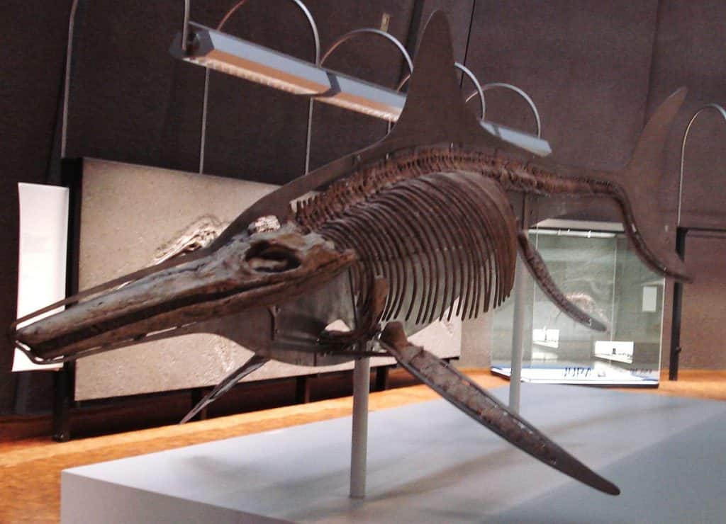 ichttyosaurus