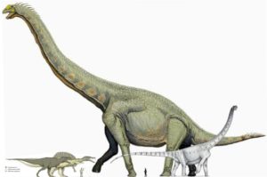 Fosil Dinosaurus Terbesar Di Dunia Ditemukan Di Argentina