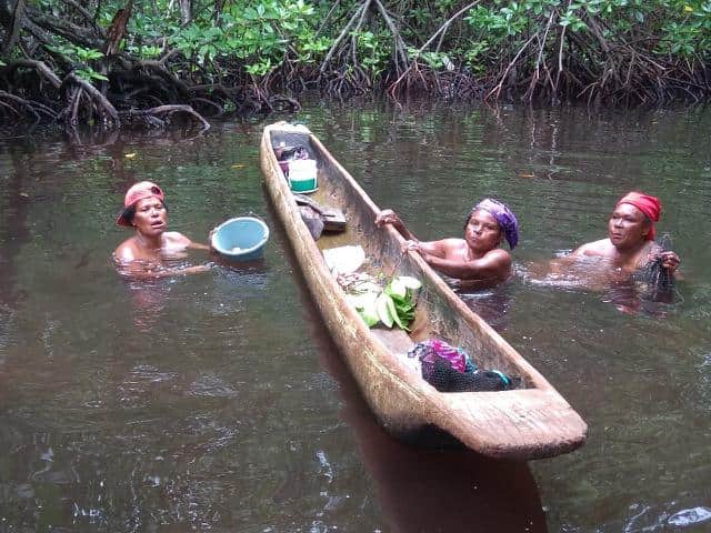 hutan kampung enggros