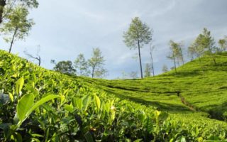 peluang bisnis wisata