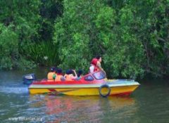 Pulau Curiak di Banjarmasin, Sempat Hilang dari Peta Kini Mendunia pulau curiak banjarmasin