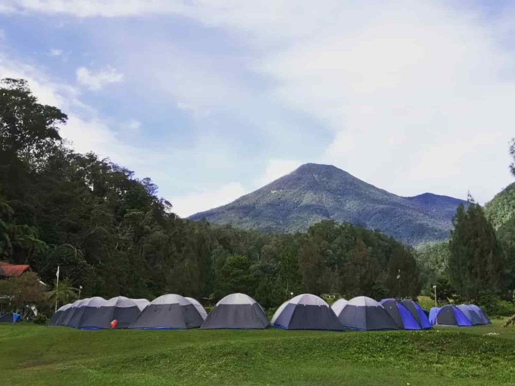 Area Perkemahan Mandalawangi Camping Ground